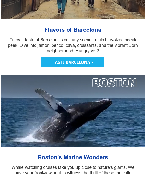 Email from City Experiences - Nicky Weelen Copywriting.
